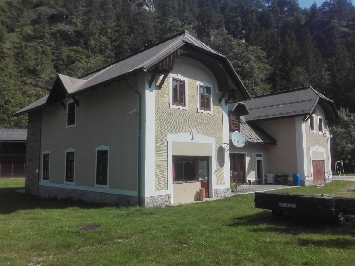 Penzion Black Sheeps Adventures Wildalpen Exterior foto