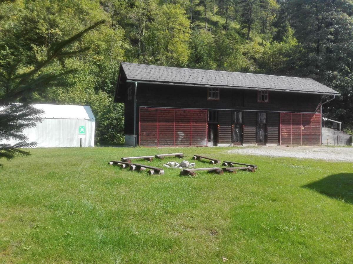 Penzion Black Sheeps Adventures Wildalpen Exterior foto
